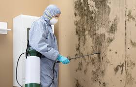  Parkland, FL Mold Inspection Pros